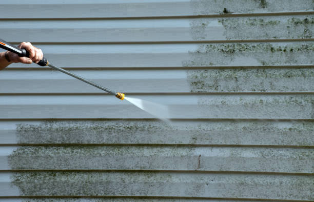 Best House Exterior Washing  in Kirkland, IL